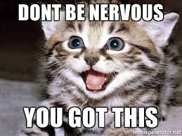 cat cat